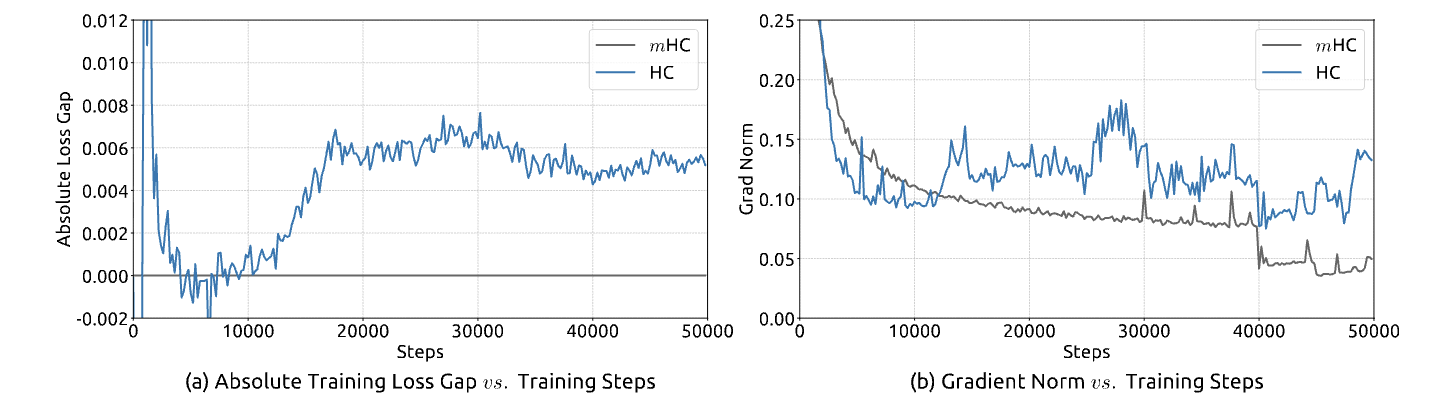 Training Loss Instability